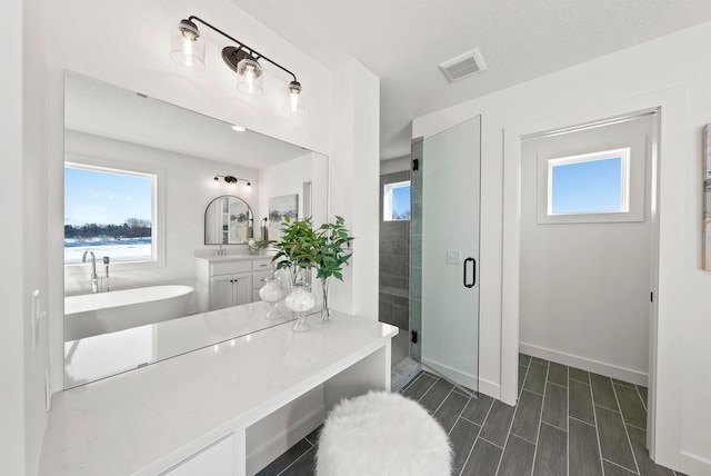 4181 Arbor Dr, Woodbury, MN 55129 - full bath with visible vents, a stall shower, a wealth of natural light, and vanity