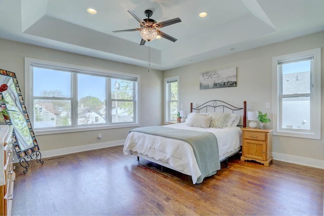 bedroom with multiple windows, wood finished floors, and a raised ceiling