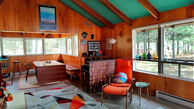 living area featuring plenty of natural light, a baseboard radiator, and wood walls
