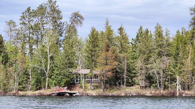 view of water feature featuring a boat dock and a view of trees