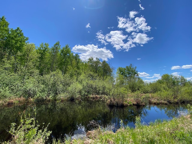 16025 370th Ln, Salo Twp, MN 55760