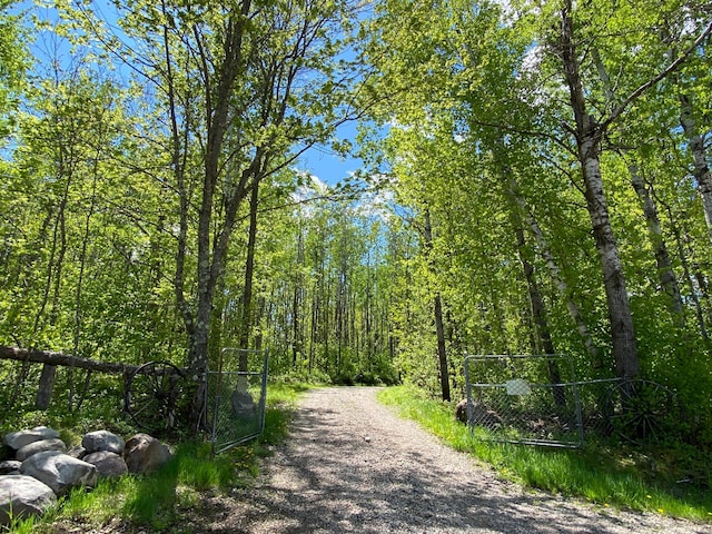 16025 370th Ln, Salo Twp, MN 55760