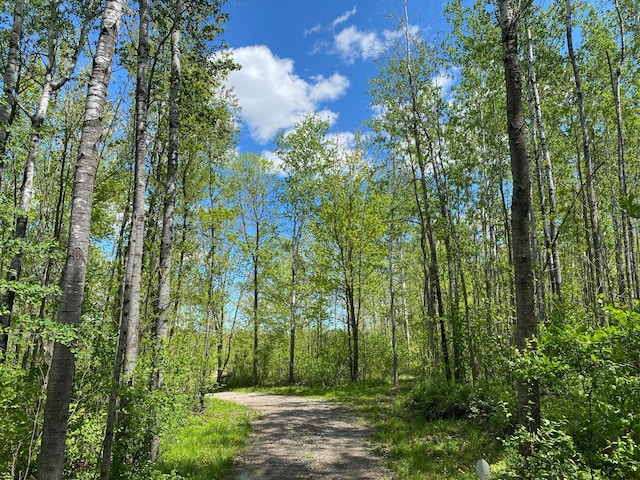 16025 370th Ln, Salo Twp, MN 55760