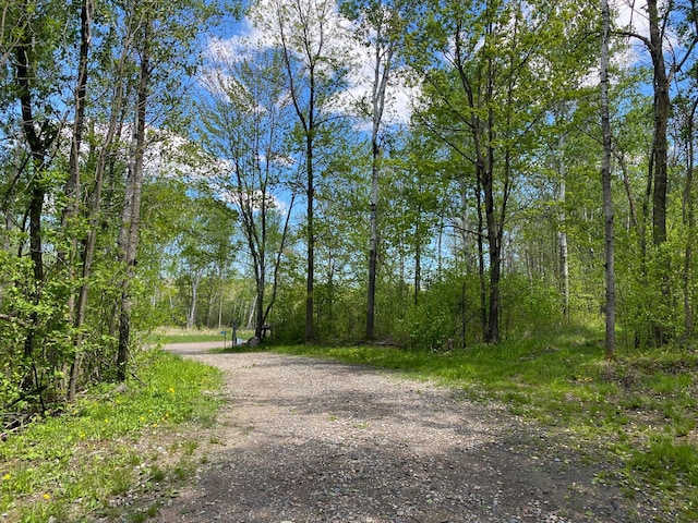 16025 370th Ln, Salo Twp, MN 55760