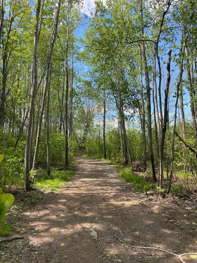 16025 370th Ln, Salo Twp, MN 55760