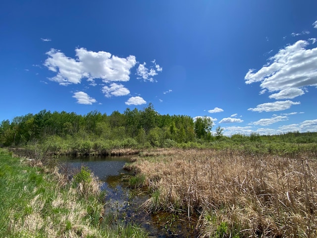 16025 370th Ln, Salo Twp, MN 55760