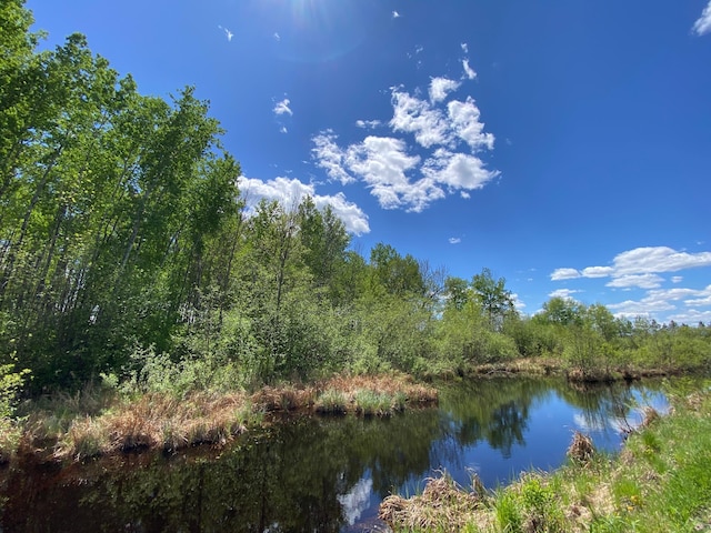 16025 370th Ln, Salo Twp, MN 55760