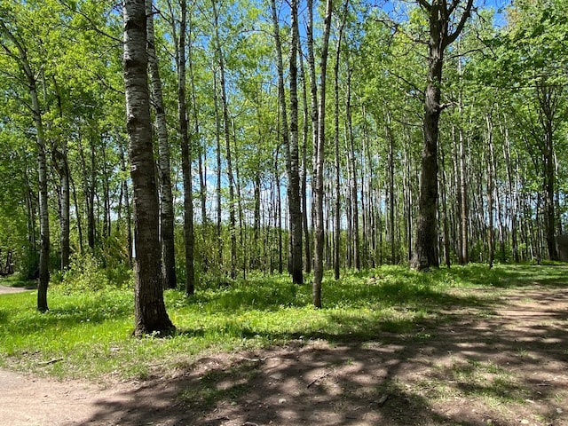 16025 370th Ln, Salo Twp, MN 55760