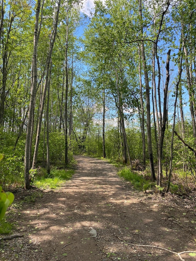 16025 370th Ln, Salo Twp, MN 55760