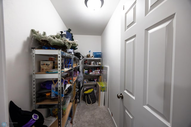 4964 Big Goose Ln S, Fargo, ND 58104 - view of storage
