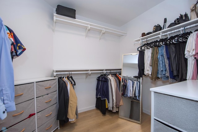 4964 Big Goose Ln S, Fargo, ND 58104 - walk in closet with light wood-style floors