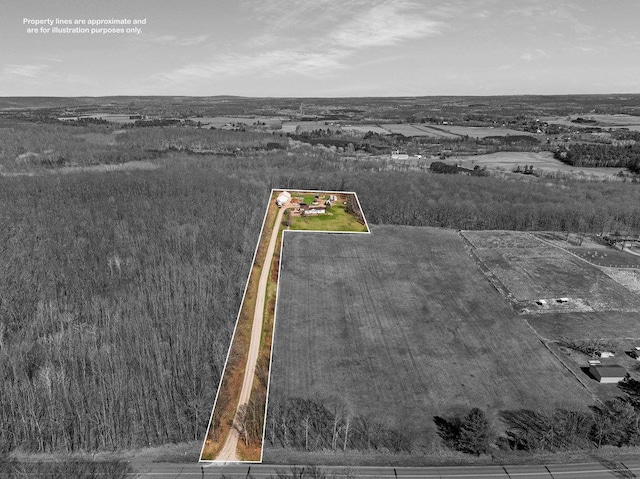 drone / aerial view