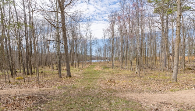 view of undeveloped land