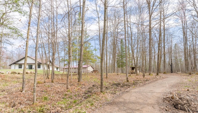 view of dirt / gravel driveway