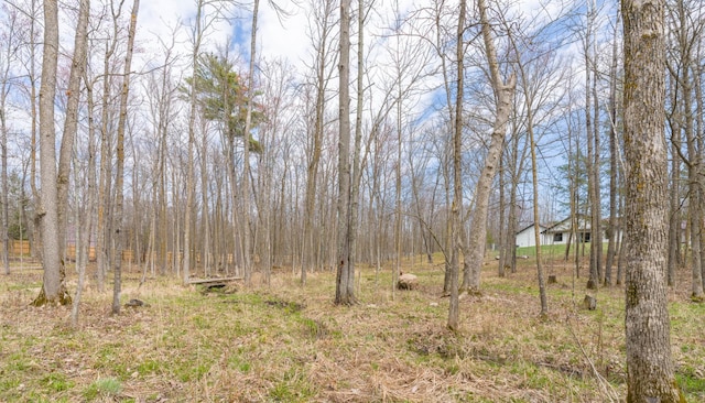 view of undeveloped land