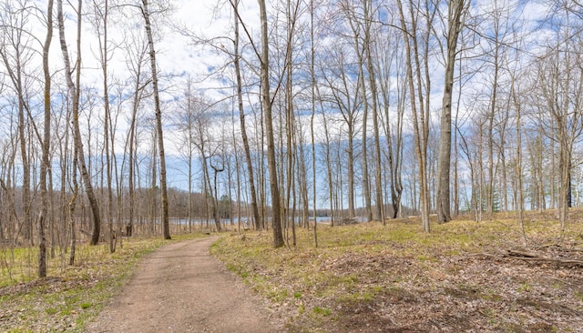 view of road featuring a wooded view