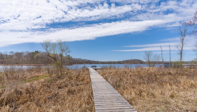 dock area with a water view
