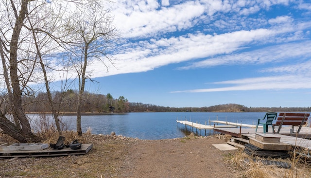 dock area with a water view