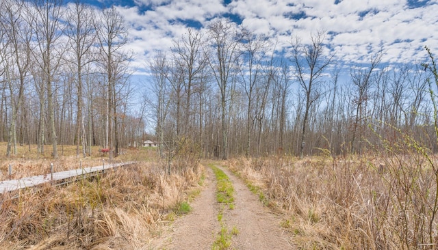 view of dirt / gravel road with a view of trees