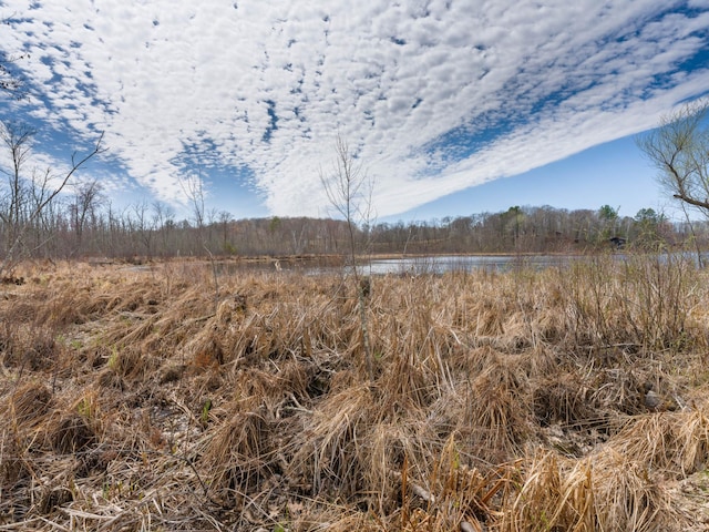 view of local wilderness with a large body of water