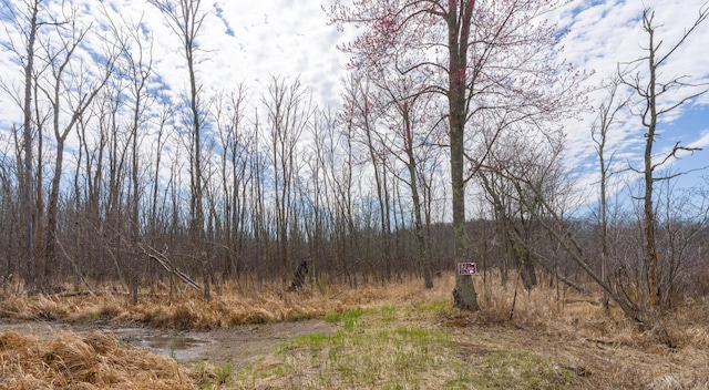 view of wooded area