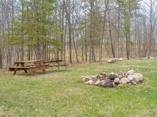 view of grassy yard