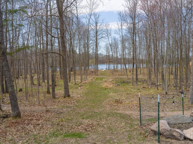 view of yard with a water view