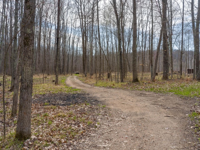 view of street featuring a view of trees