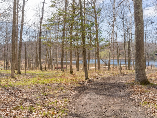 water view with a heavily wooded area