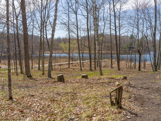 view of yard featuring a water view and a view of trees
