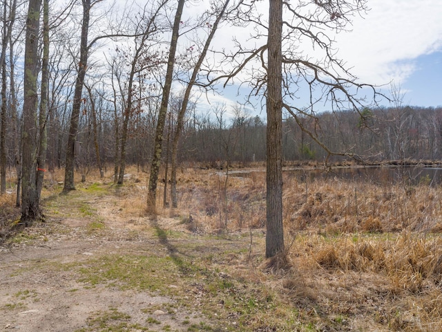 view of woods