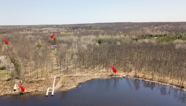 aerial overview of property's location featuring a forest and a large body of water
