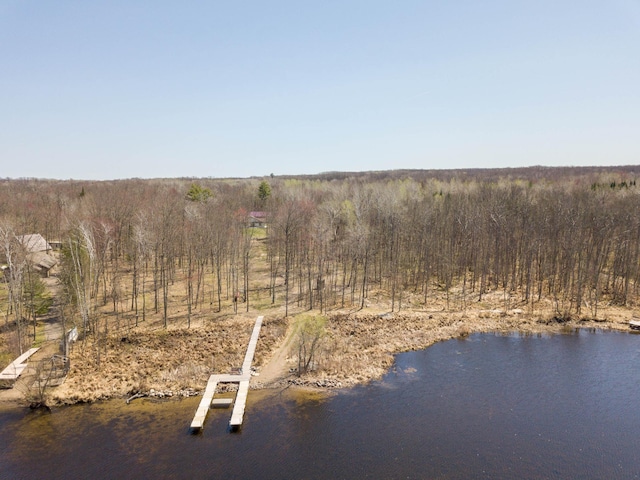 drone / aerial view of a forest and a large body of water
