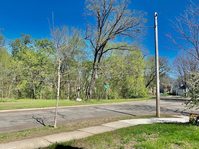 view of road featuring curbs