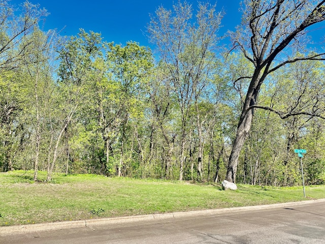 view of road featuring curbs and a forest view