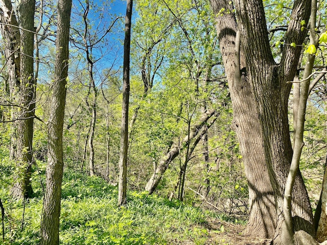 view of landscape featuring a view of trees