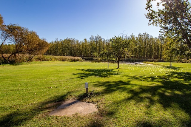 view of community featuring a yard