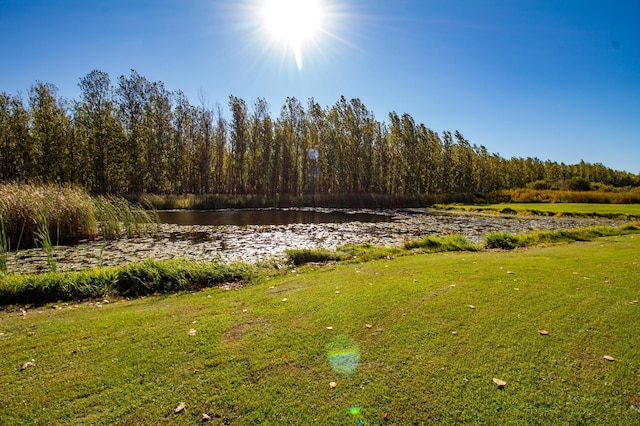 view of yard featuring a water view and a forest view