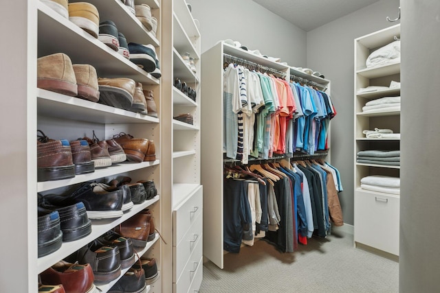 spacious closet featuring carpet