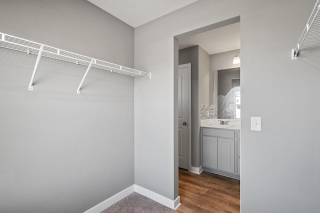11263 131st Cir N, Dayton, MN 55327 - spacious closet featuring a sink and dark wood finished floors
