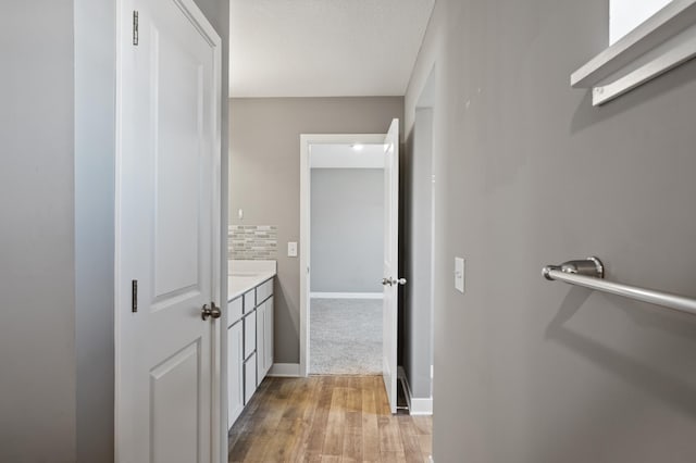 11263 131st Cir N, Dayton, MN 55327 - bathroom with wood finished floors, vanity, baseboards, and decorative backsplash