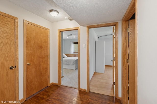 17150 Grenadier Ave, Lakeville, MN 55044 - corridor featuring wood finished floors and a textured ceiling