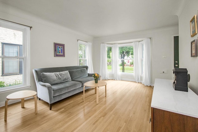 1677 Niles Ave, Saint Paul, MN 55116 - living room with light wood-style floors and a wood stove