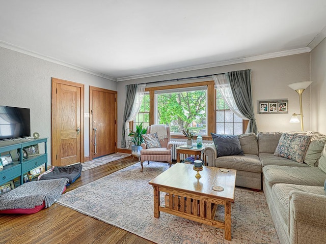 2100 Saint Clair Ave, Saint Paul, MN 55105 - living area with wood finished floors, crown molding, and radiator heating unit