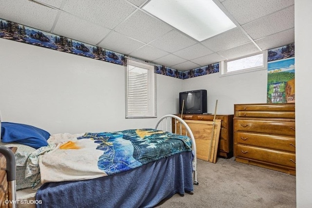 904 Washington St, Saint Croix Falls, WI 54024 - bedroom with light carpet and a paneled ceiling