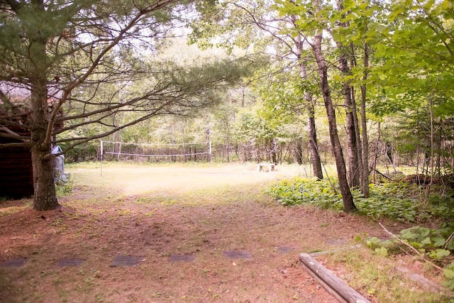 view of yard featuring a forest view and volleyball court