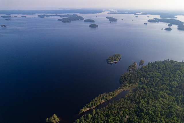 aerial view featuring a water view and a view of trees