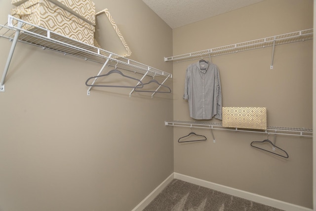 14897 144th Ave N, Dayton, MN 55327 - spacious closet featuring carpet