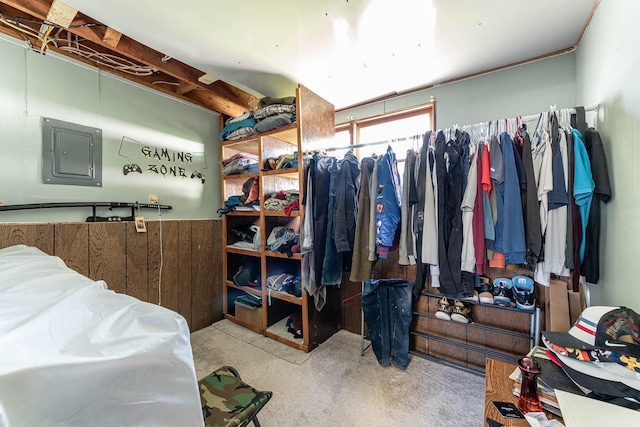 spacious closet featuring carpet and electric panel