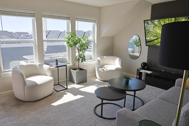 5275 94th Ln N, Brooklyn Park, MN 55443 - carpeted living room featuring baseboards and a wealth of natural light